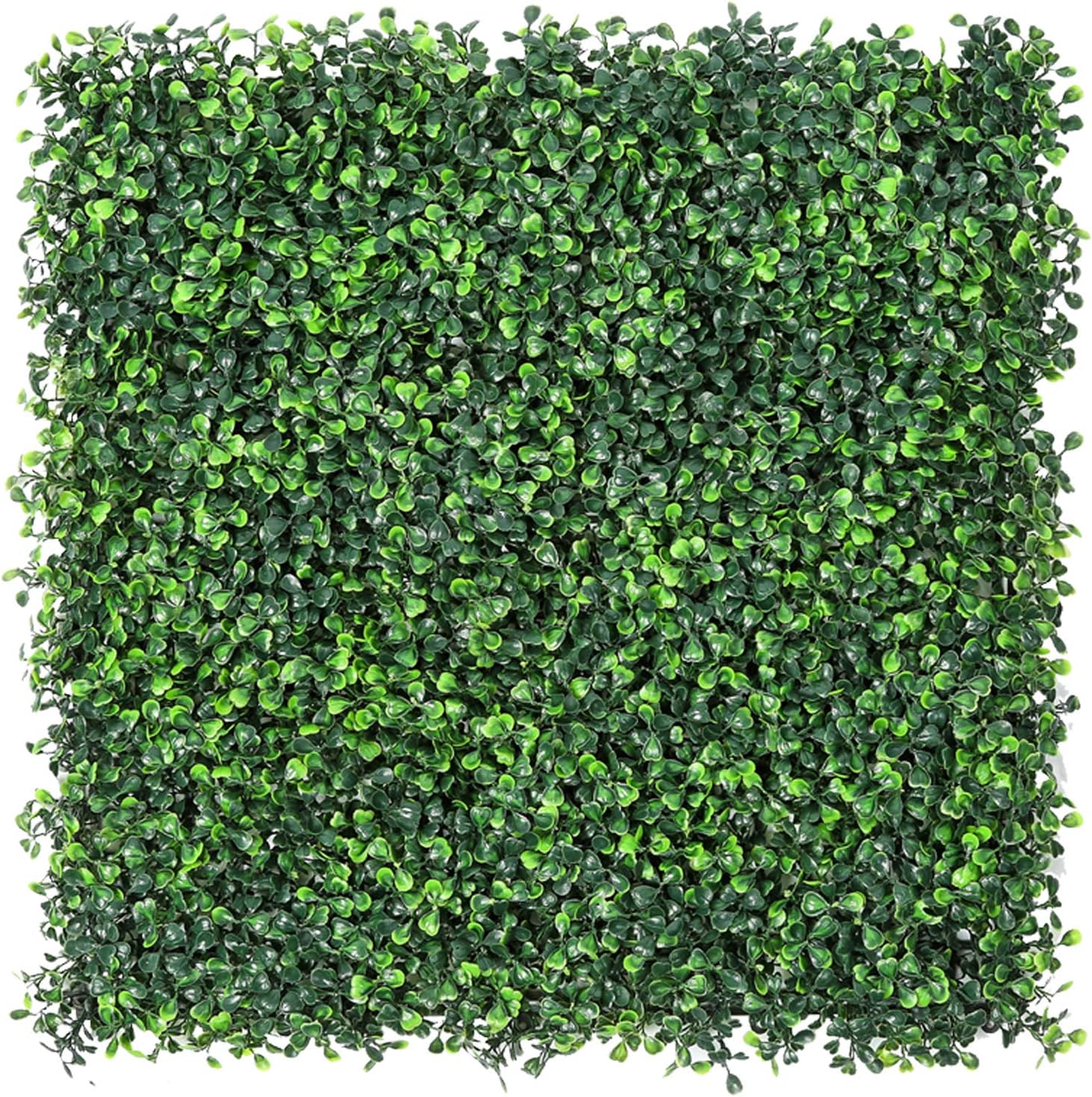 Dense square panel of layered artificial green boxwood foliage